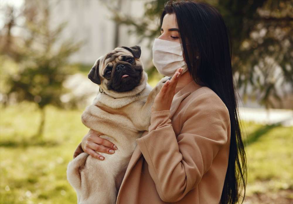 A woman wears a surgical mask while holding a pug