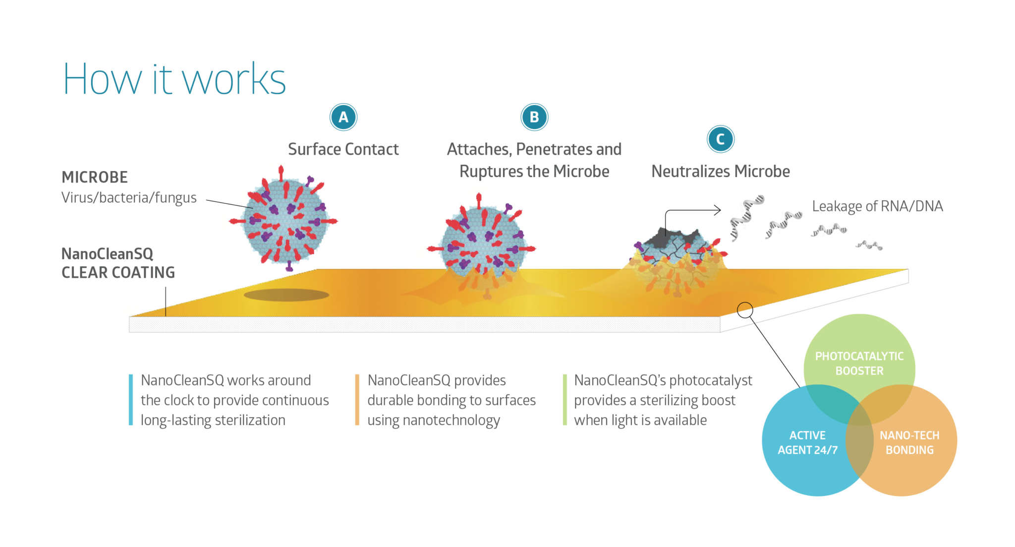 U of G Research Behind Surface Coating That Kills COVID19 Virus U of