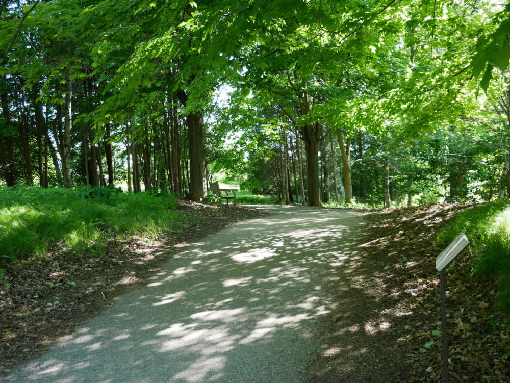 Tree-lined path in U of G's The Arboretum