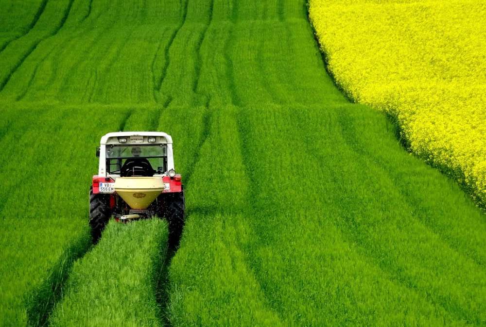 A tractor drives through a green field of canola