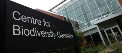 U of G’s DNA Barcoding Systems Awarded Funding for Major Infrastructure