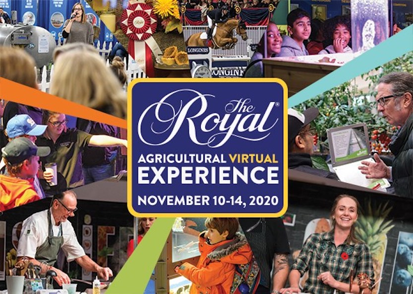 The Royal Agricultural Virtual Experience logo