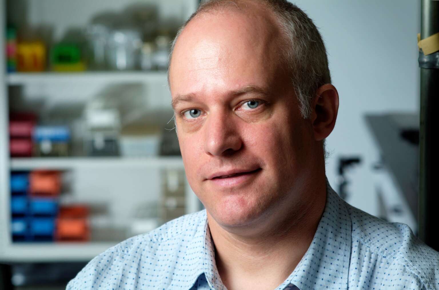 New Co-Directors Set Next Steps for U of G’s Comparative Cancer Centre ...