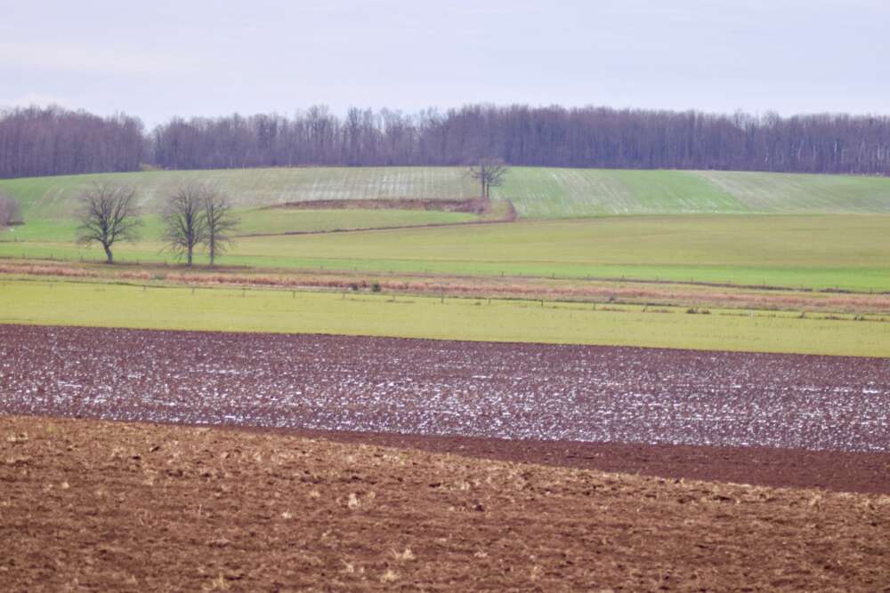 Agricultural fields in late fall