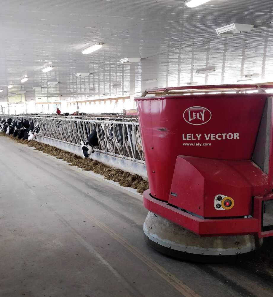 An automated feeder system within a dairy barn