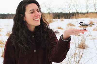 University of Guelph Project to Help Birds Avoid Deadly Window Collisions