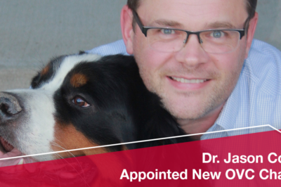 New Chair to Strengthen Veterinary Communications, Relationship-Building