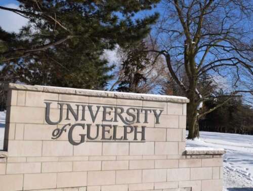 The University of Guelph wall sign is shown in winter