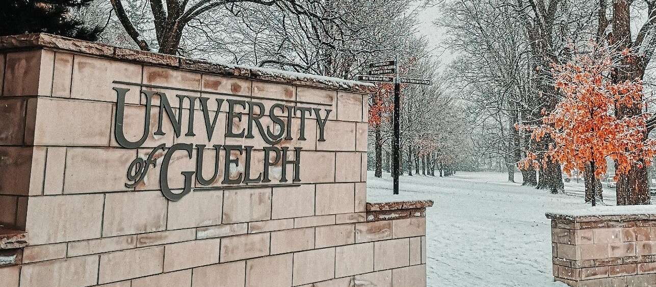 The U of G campus sign on a stone wall in winter