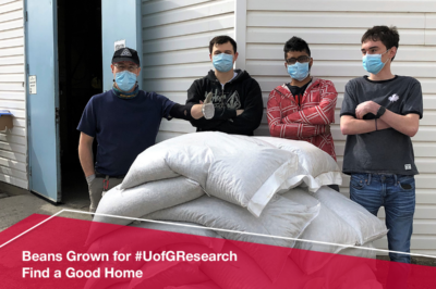 U of G Research Beans Donated to Local Organizations