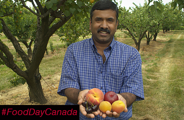 Dr. Jay Subramanian stands ina fruit orchard and holds out a handful of peaches, plums and cherries