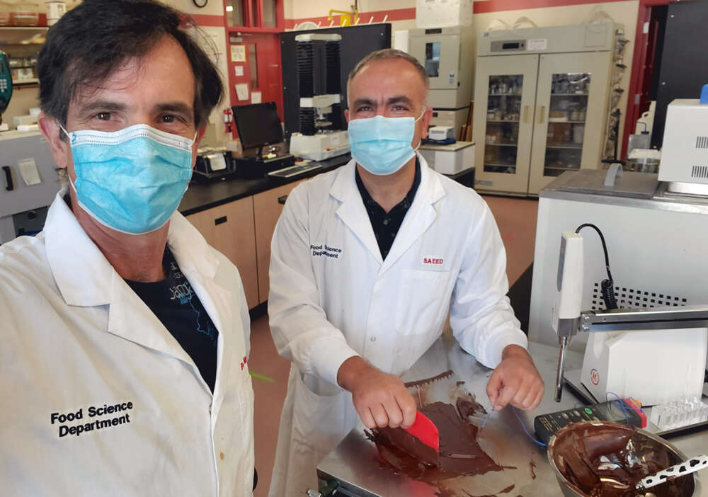 Two men wearing lab coats and masks prepare chocolate on a stainless steel table in a lab