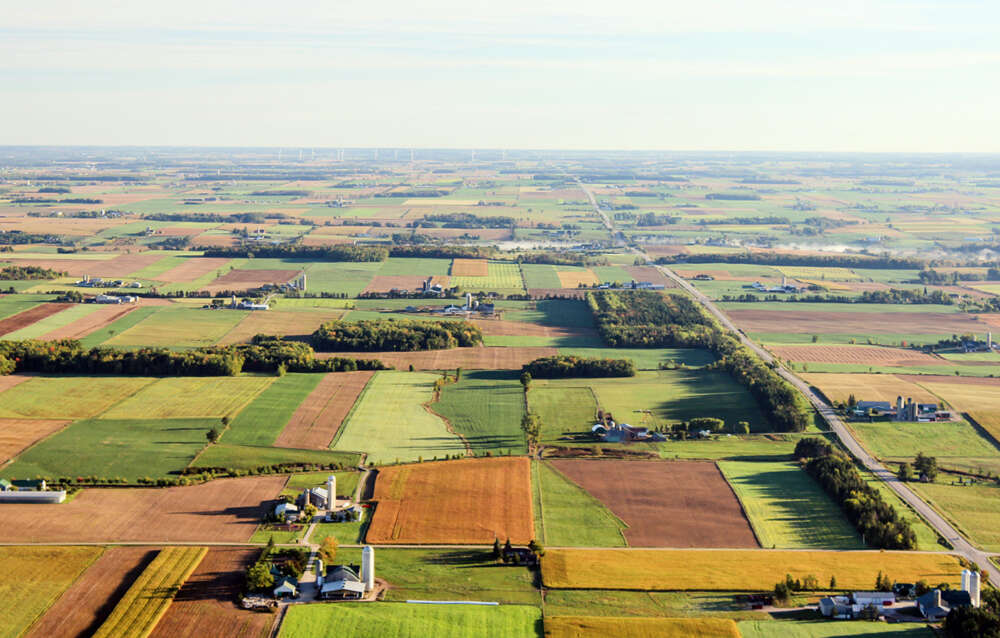 A patchwork of fields is shown in this aerial view of the Waterloo Region