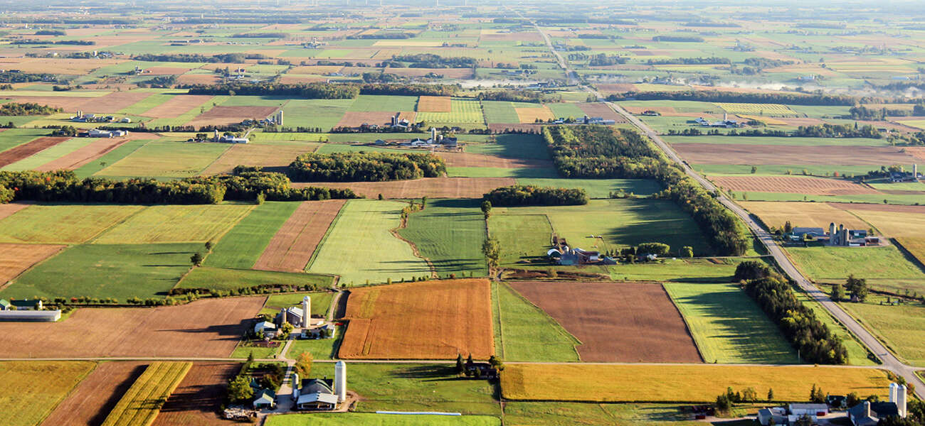 A patchwork of fields is shown in this aerial view of the Waterloo Region