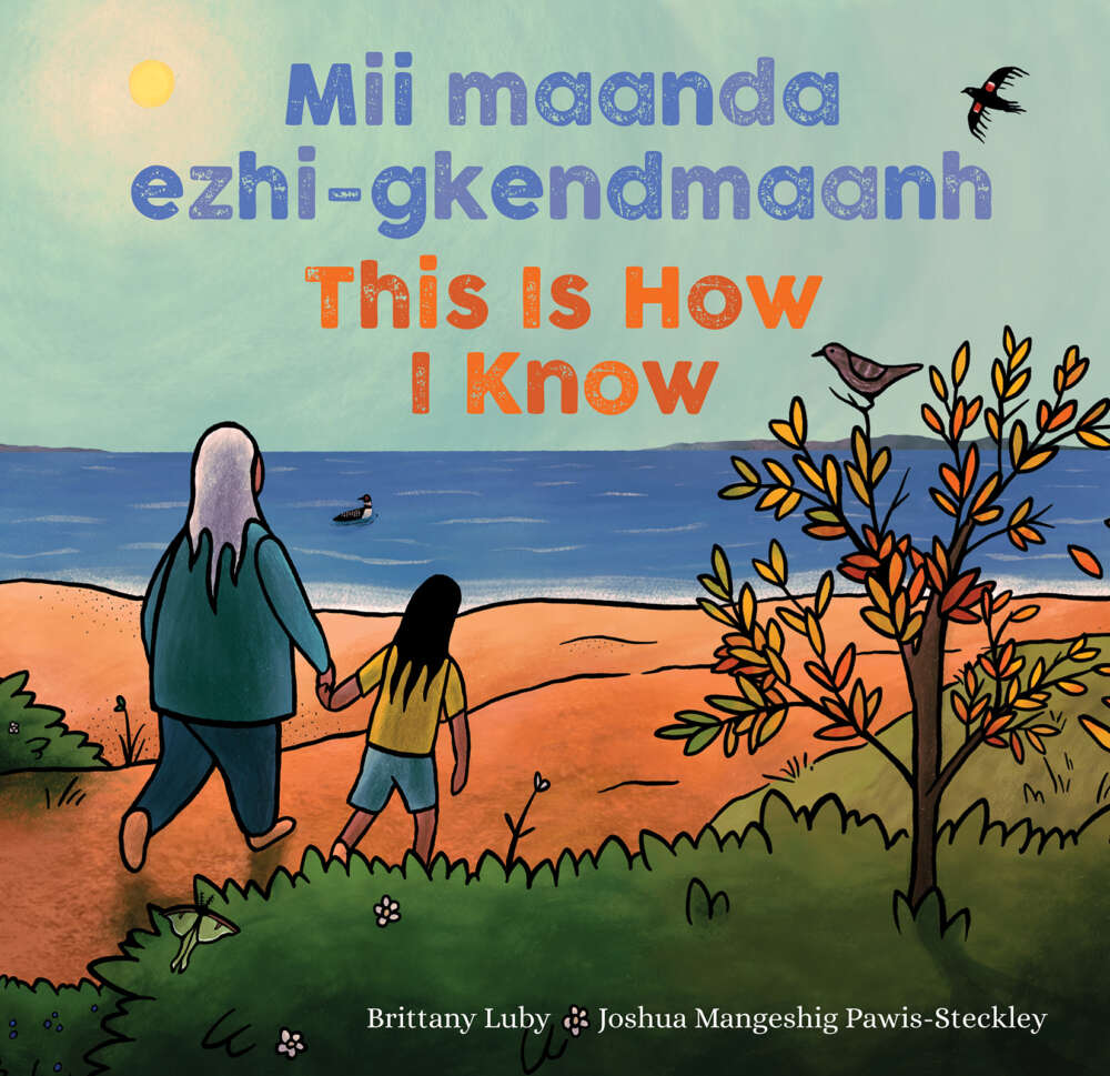 book cover illustration for This Is How I Know children's book
