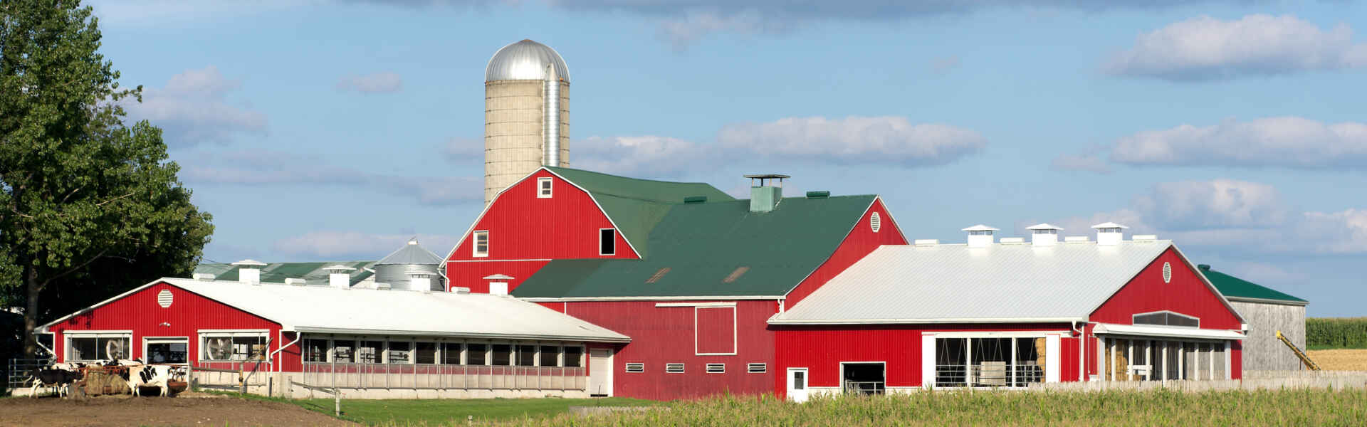 red barn across a field