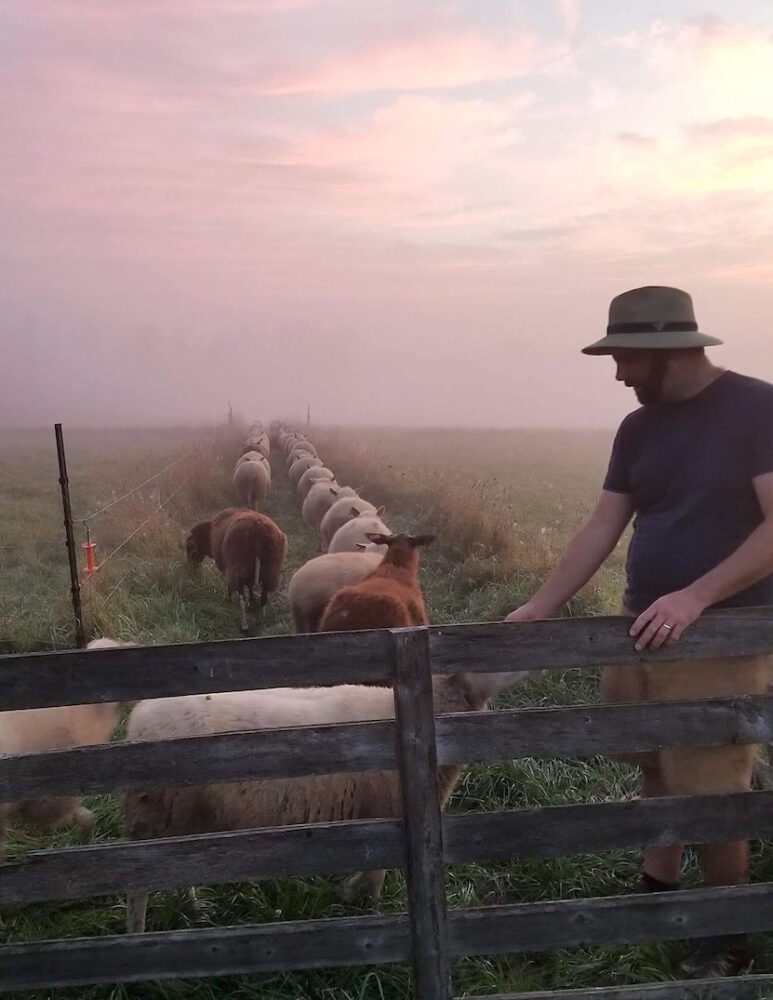 A man holds open a gate to let sheep into a foggy field