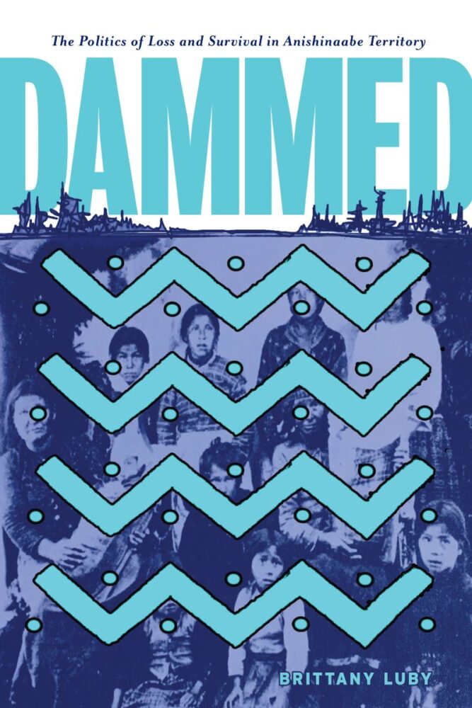 The cover of Dammed book
