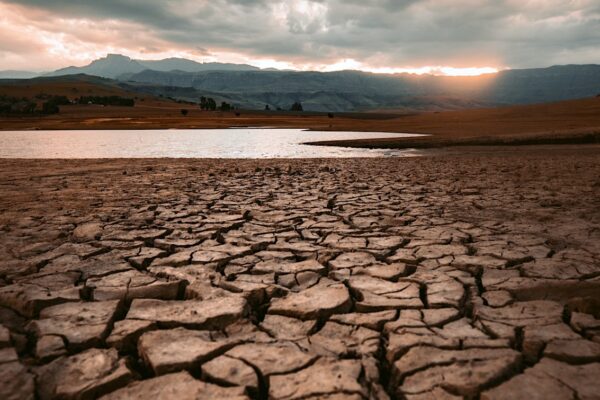 U of G Researcher Part of International Study Examining How We Are Adapting to Climate Change
