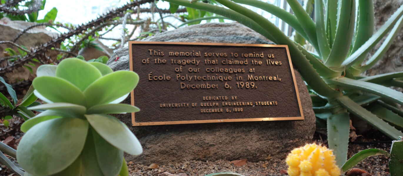 an image of a plaqued centred with words that speak to the rememberance of the women killed on Dec. 6. There are cacti and plants around the plaque