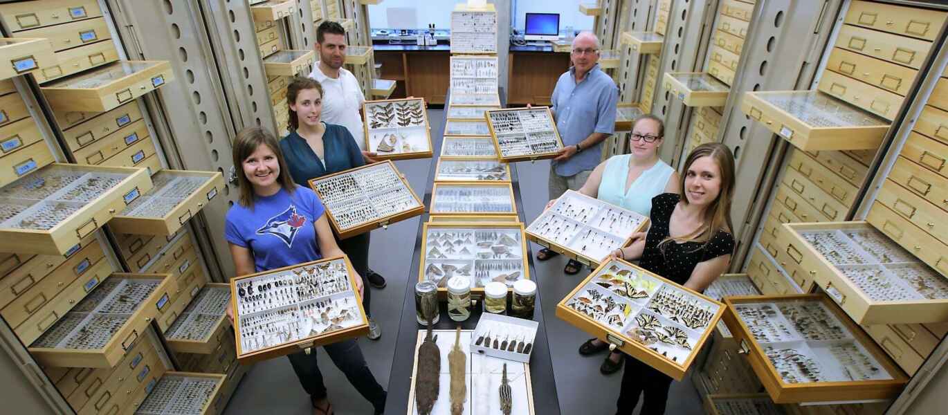 Six people hold up trays of insect samples