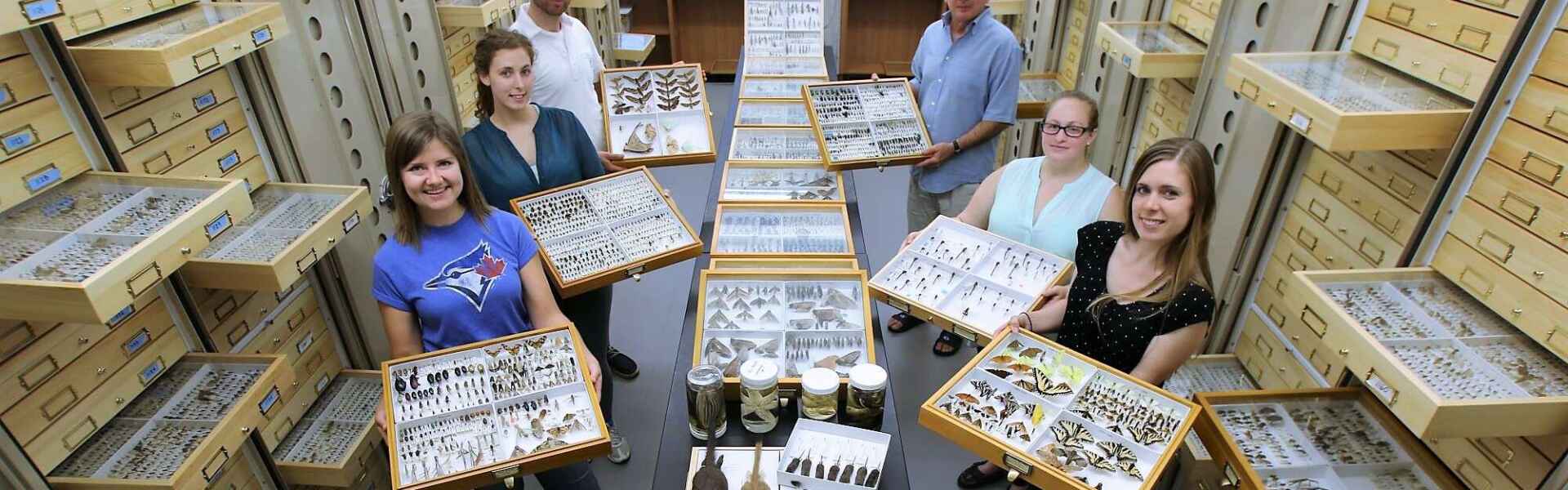 Six people hold up trays of insect samples