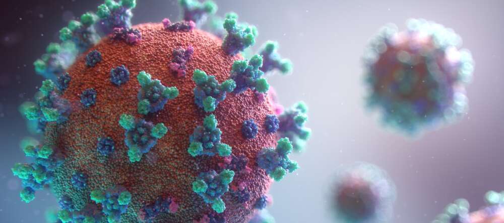 Visualization of the coronavirus causing COVID-19