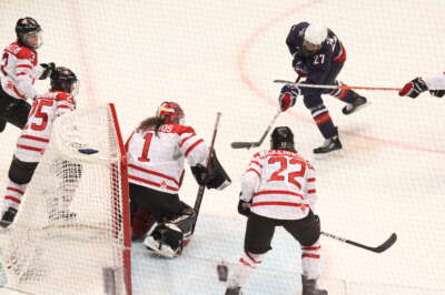 A Successful New Women’s Hockey League Depends on NHL Commitment, Says U of G Expert