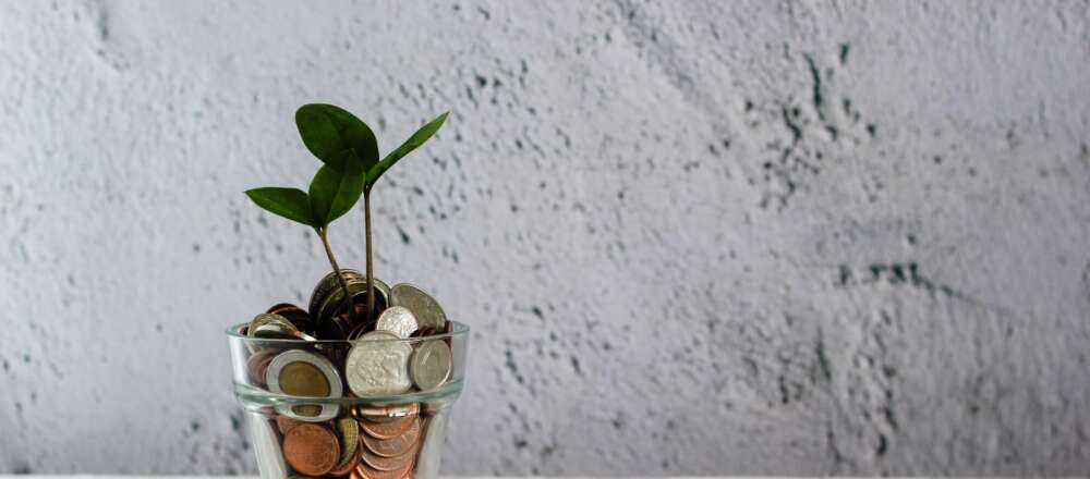 A money tree is potted in a glass filled with coins.