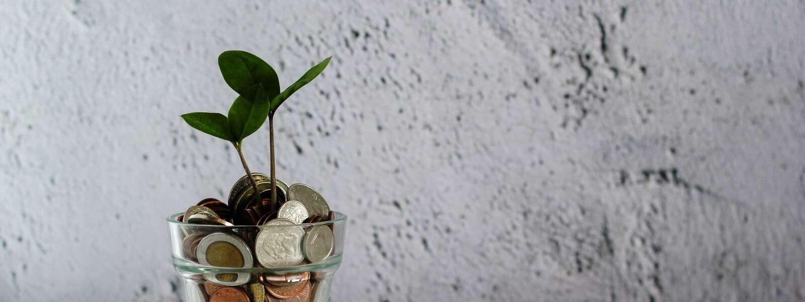 A fake plant is potted in a glass filled with coins.