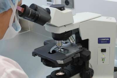 New Funding to Help U of G Scientists Probe Lyme Disease, Biofilm Links