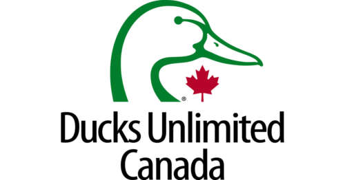 Ducks Unlimited Canada logo: on a white background there is a green outline of a duck's head with a red maple leaf below the beak. The black text reads: "Ducks Unlimited Canada".