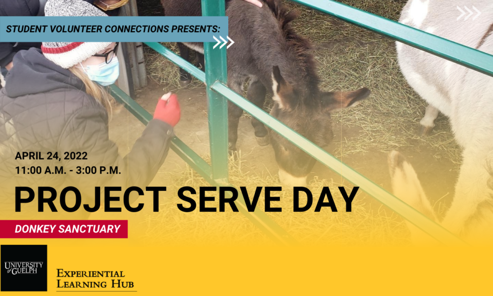 The promotional poster for Project Serve Day at the Donkey Sanctuary of Canada. The image is of a volunteer feeding donkeys at the Sanctuary. The text reads "Student Volunteer Connections Presents: April 24, 2022, 11:00 A.M. - 3 P.M. Project Serve Day Donkey Sanctuary." Below the text in the bottom left corner is the Experiential Learning Hub logo.