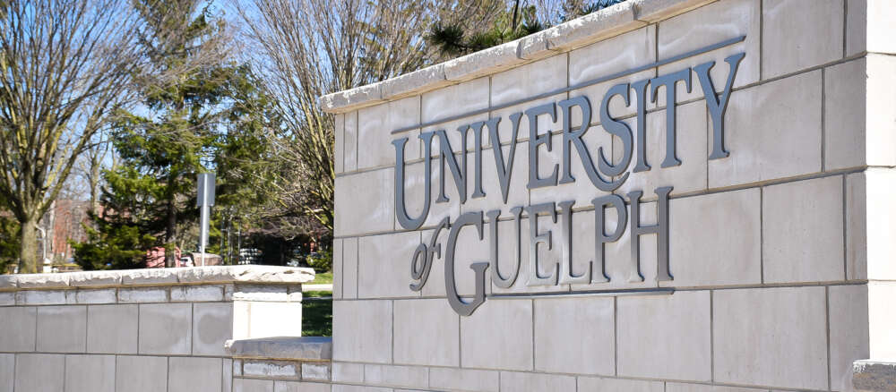 University of Guelph sign on a concrete wall on the edge of campus