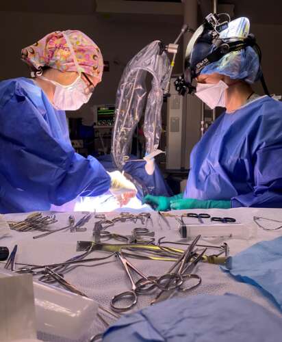 Two people in surgical scrubs, caps and masks perform surgery on a dog with surgical instruments in the foreground