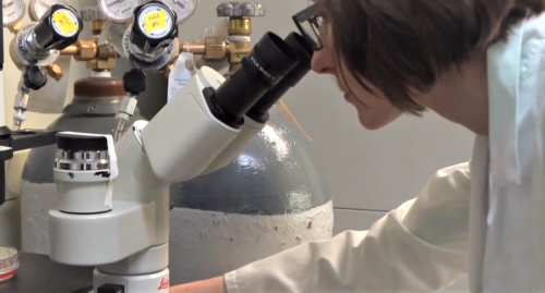 Closeup of Dr. Melanie Wills looking through a microscope