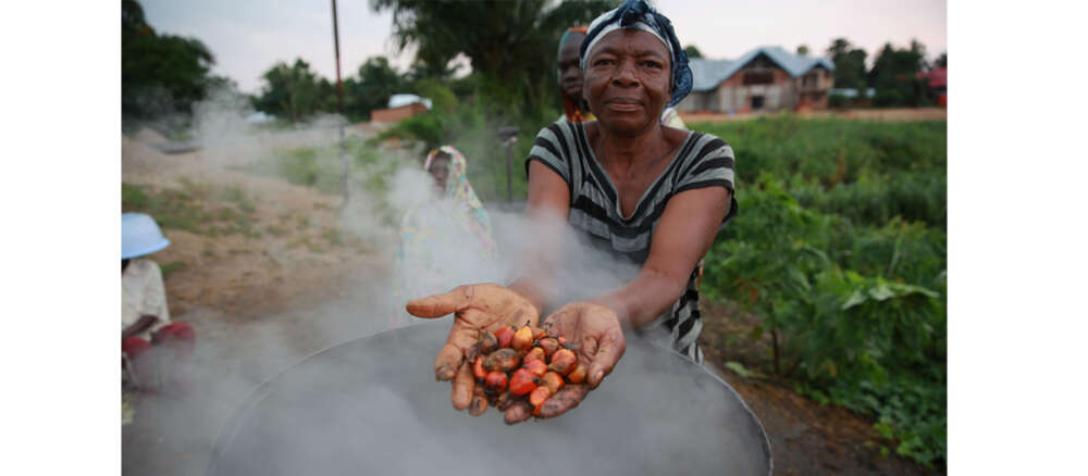 A Congolese woman holds out palm kernels in the palm of her hand