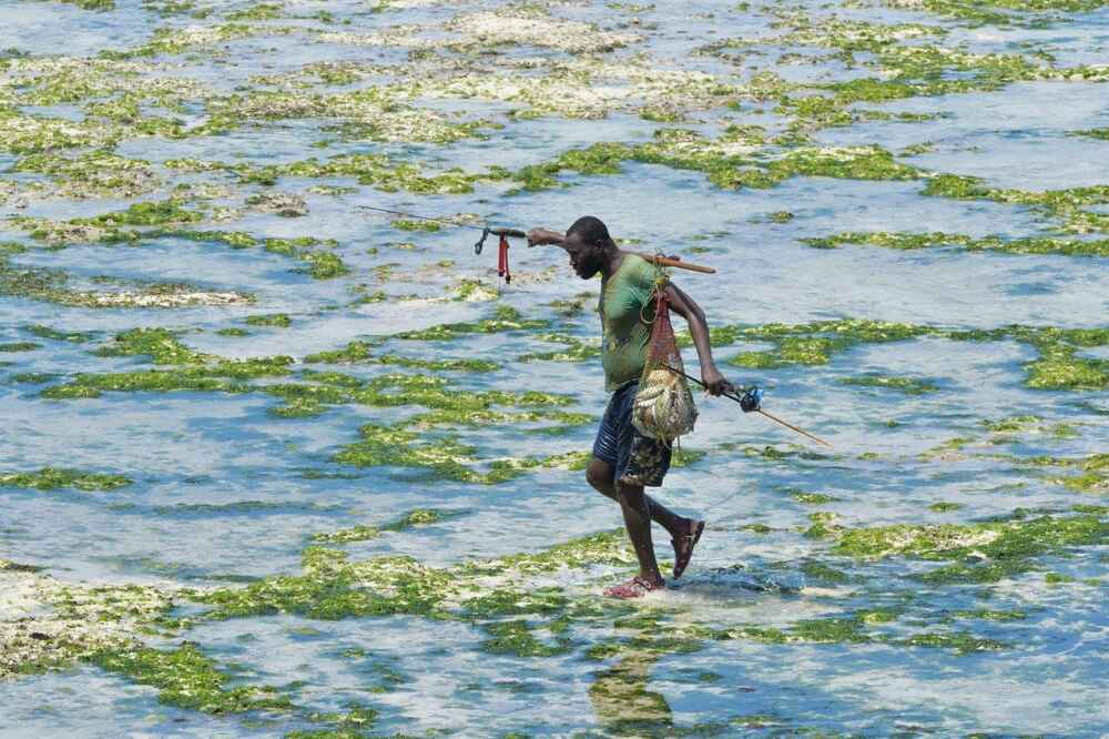 A person walks across shoreline.