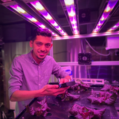 Ajwal Dsouza stands in front of plants in a lab under purple lighting