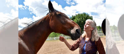 Humans Can Decipher a Horse’s Mood in Their Whinny, New Research Finds