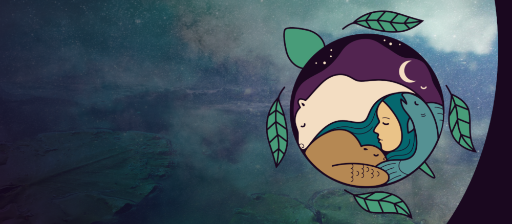 The logo of the IPCA knowledge basket over an image of the globe