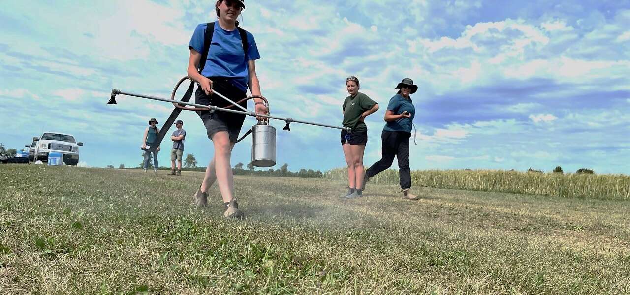 three people walk along a field, one holding a 4-nozzle sprayer bar and canister