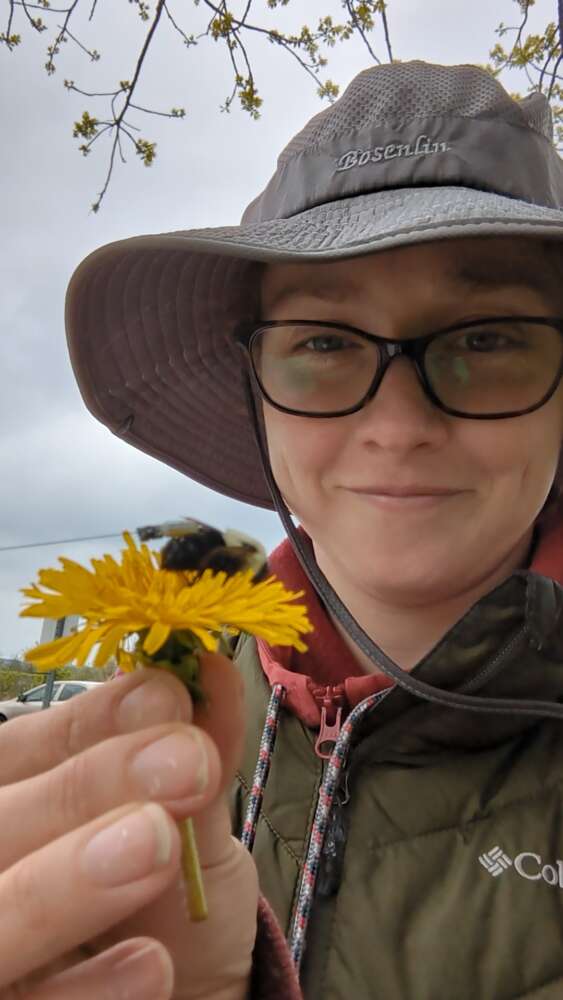 A person smiles as they hold up a bee wearing a radio tracker on a yellow dandelion.