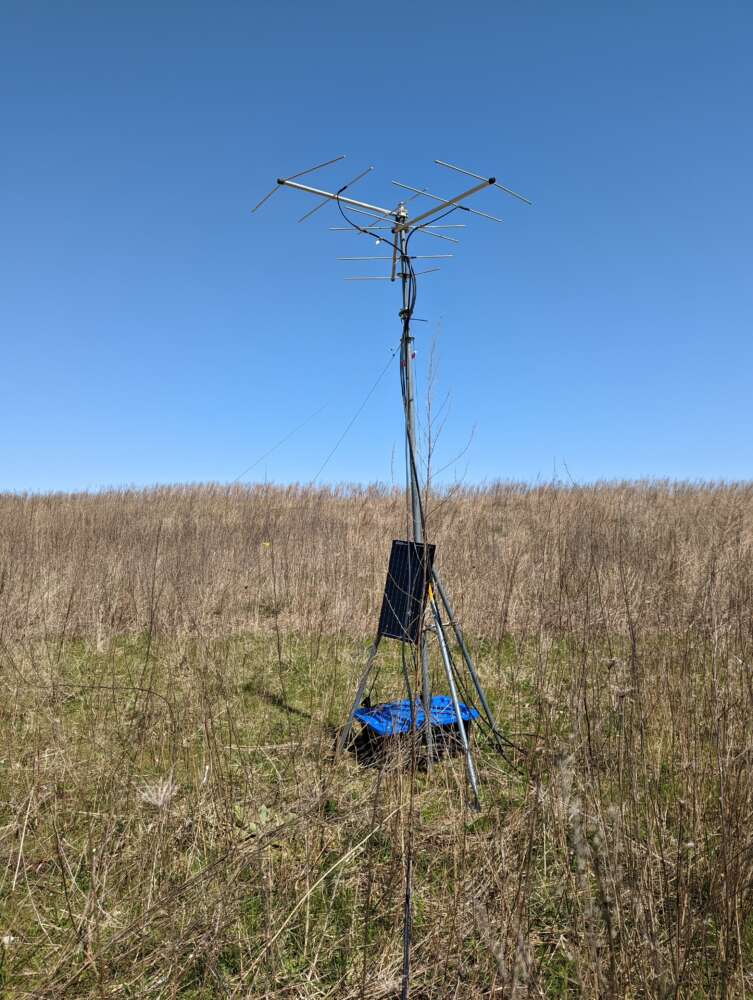 A tall metal radio tower in a grassy field against a blue sky.