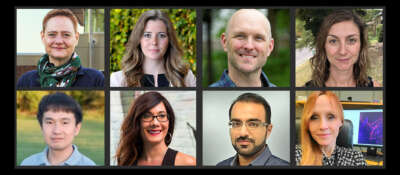 Research Excellence Awards Celebrate Eight Early-Career Researchers