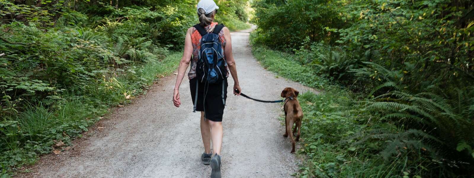 A person walks on a forest path with a brown dog