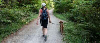 Active Dog Owners Likely to Have Active Dogs, Finds U of G Study 