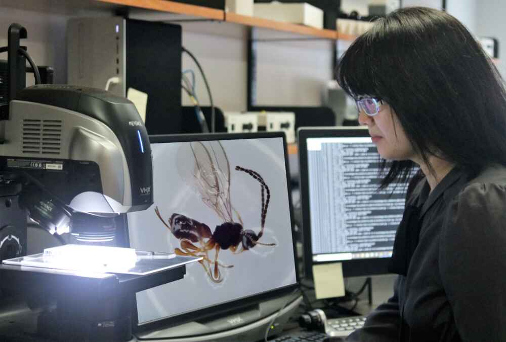 a person sits at a microscope in an office