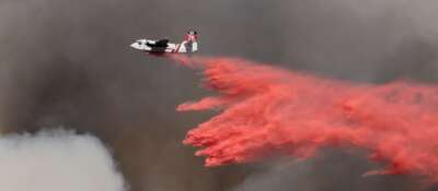 U of G Research Looks at How to Avoid Burning Up Wildfire Resources