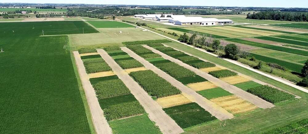 aerial view of several crop plots